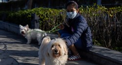 Pas zaražen koronavirusom. Je li ovo prvi slučaj prijenosa s ljudi na životinje?