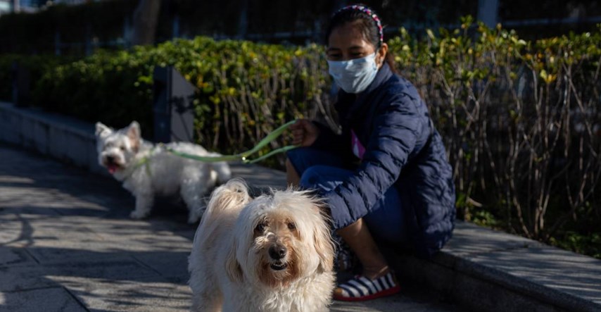Pas zaražen koronavirusom. Je li ovo prvi slučaj prijenosa s ljudi na životinje?
