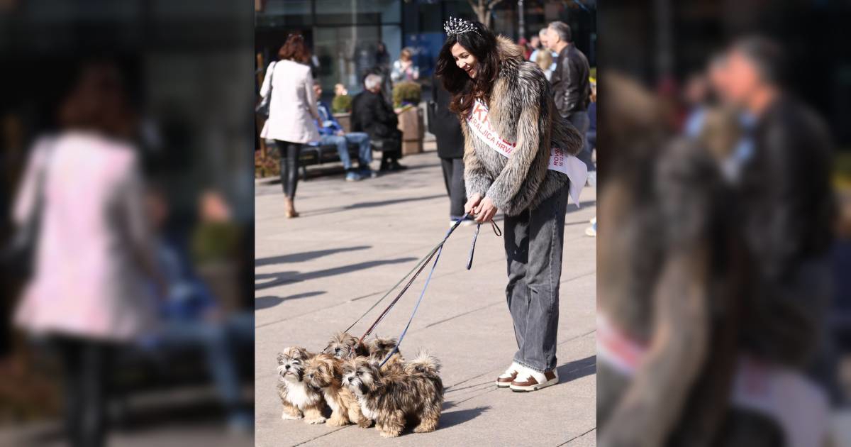 Kći Gorana Višnjića udomila psa pa ga vratila u azil, njezina majka pojasnila zašto