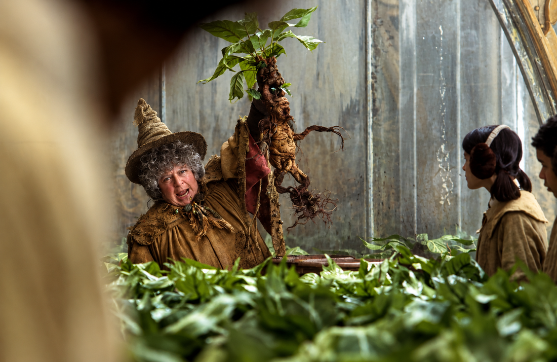 Miriam Margolyes o Harryju Potteru: Honorar od 60.000 funti bio je sranje