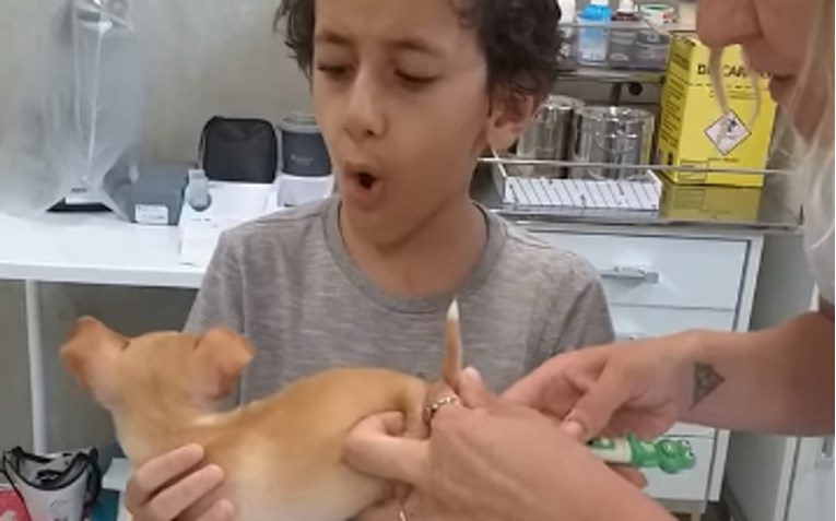 Dječak vodio psića veterinaru pa postao hit zbog smiješne reakcije