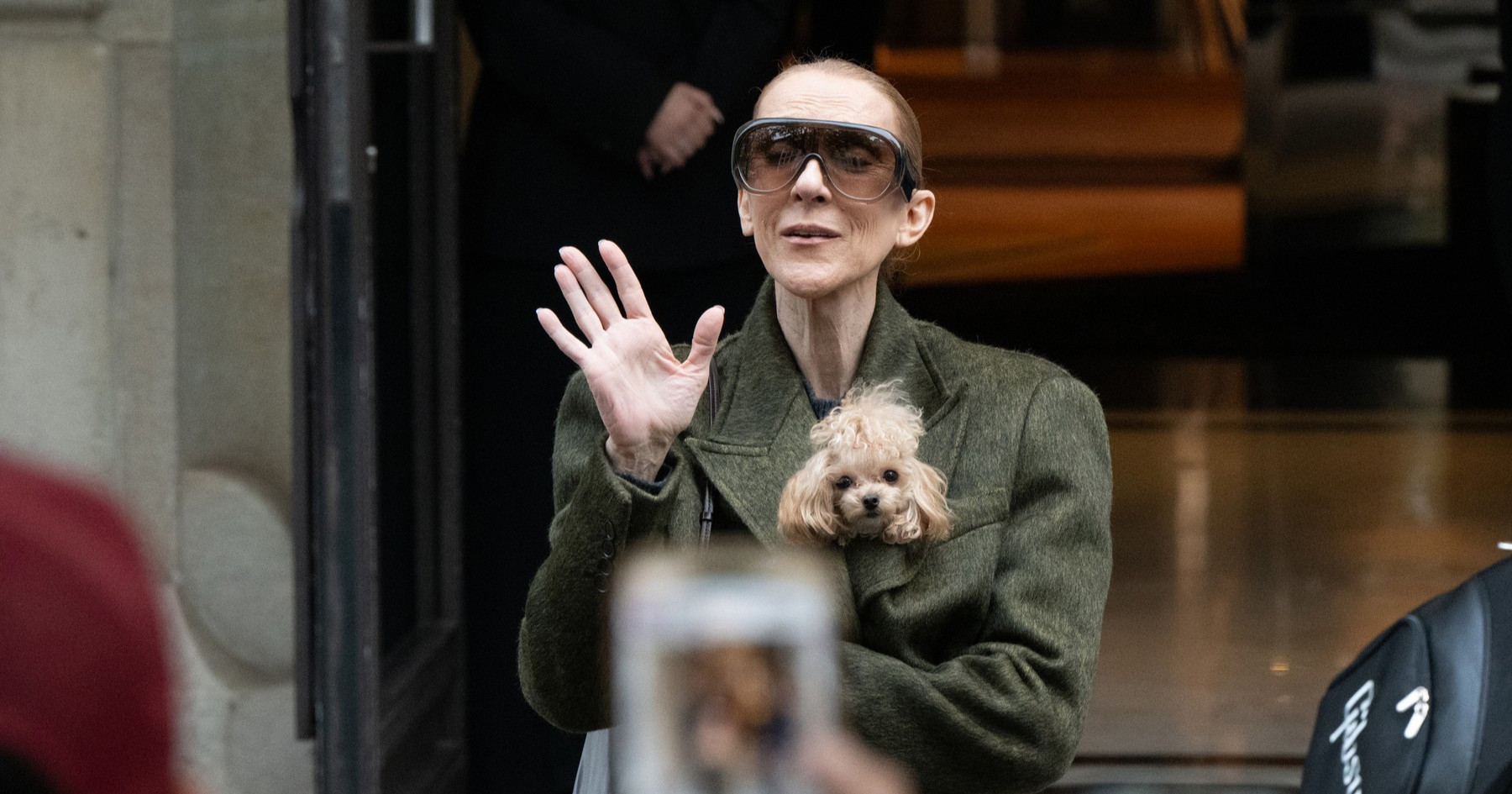 Céline Dion napustila Pariz, a svu pažnju ukrao je njezin preslatki pas