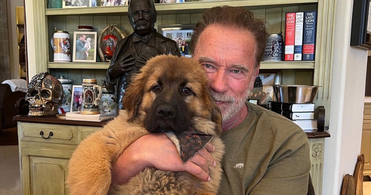 Schwarzenegger pokazao novog kućnog ljubimca, kojem je dao ime po svom omiljenom jelu