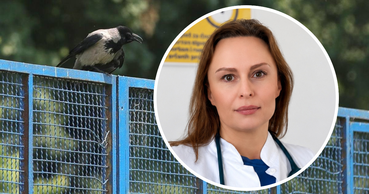 Ona u Zagrebu liječi oboljele od virusa Zapadnog Nila: "Može se dogoditi bilo kome"