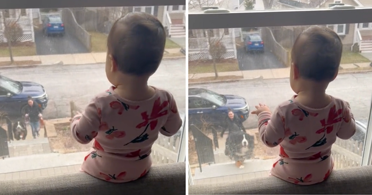 Pas ugledao bebu koja ga čeka na prozoru pa reakcijom rastopio tisuće