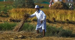 Indija je zabranila izvoz više vrsta riže, postala im je preskupa