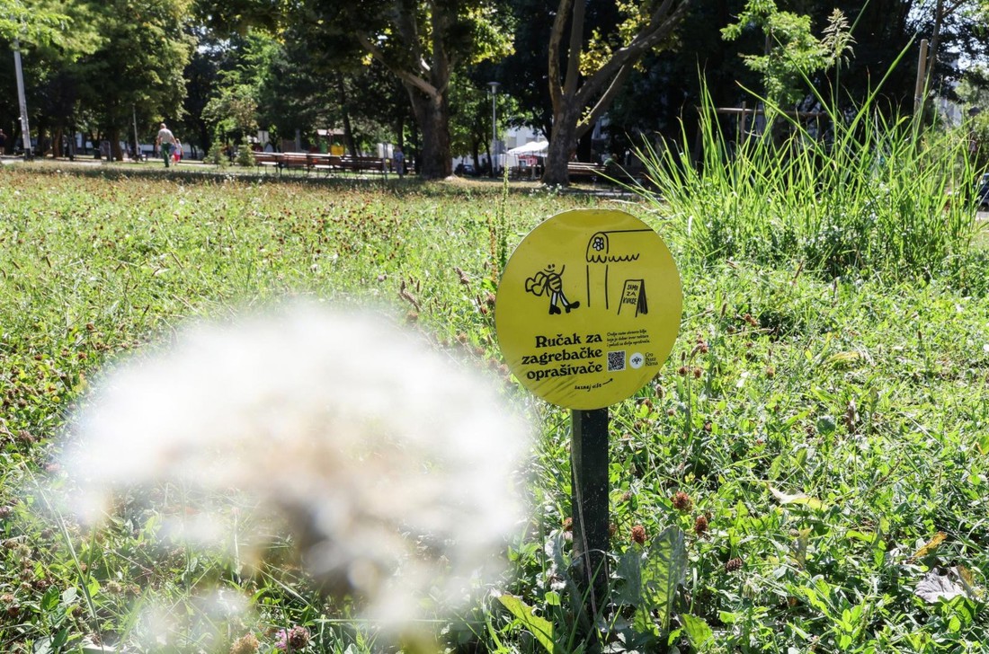 U nekim zagrebačkim parkovima dio trave se ne kosi. Odgovor je na ovim tablama