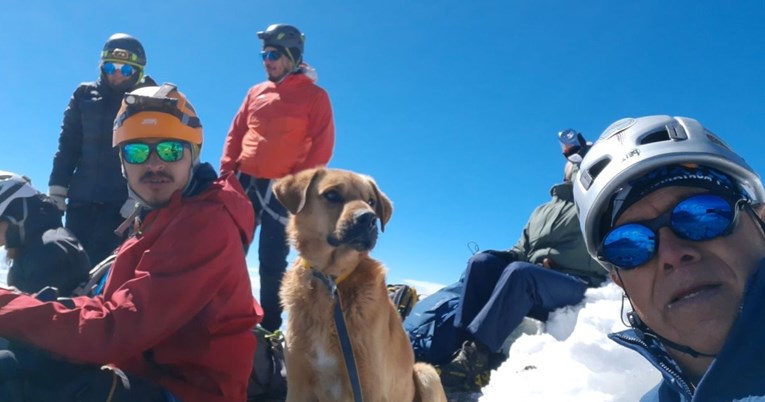 Meksički planinari spasili psa koji je zalutao na više od 5000 m visine