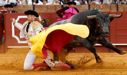 U Španjolskoj će djeca mlađa od 8 godina moći besplatno gledati borbe s bikovima
