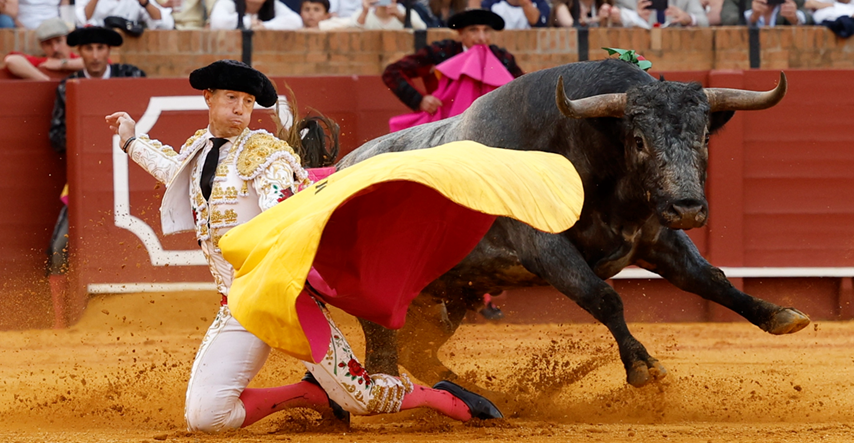 U Španjolskoj će djeca mlađa od 8 godina moći besplatno gledati borbe s bikovima