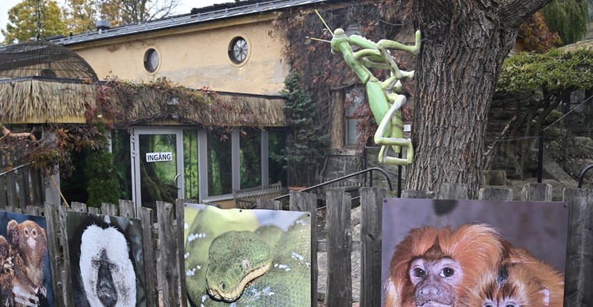 Zbog bijega kobre zatvoren dio zoološkog vrta u Stockholmu