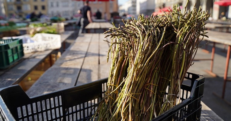 Istražite svijet divljih šparoga: Od berbe do tanjura