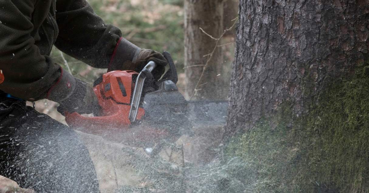Muškarac (57) u Međimurju poginuo pri rušenju stabla