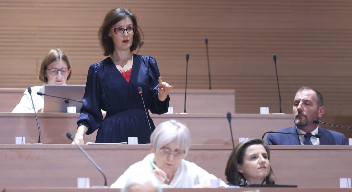 Orešković: Može li Plenković obuzdati ludosti koje govore ministri iz DP-a?
