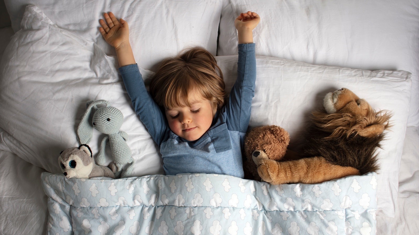 Plišane igračke imaju veću ulogu nego što mislite. Evo kako pomažu djeci i odraslima