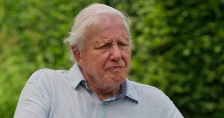 Attenborough doživio nezgodu na snimanju: "To je zaista opasna biljka, agresor..."