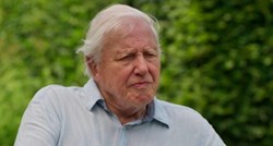David Attenborough (95) ubo se na kaktus: "Bodlje su oštre i problem ih je izvući"