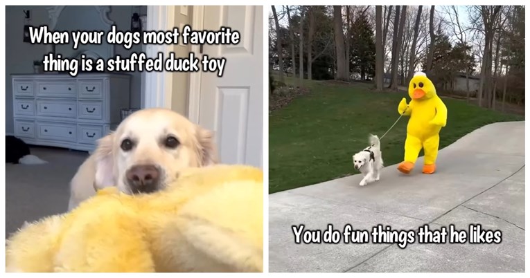 Vlasnici se prerušili u najdražu igračku svog psa, evo kako je on reagirao na to