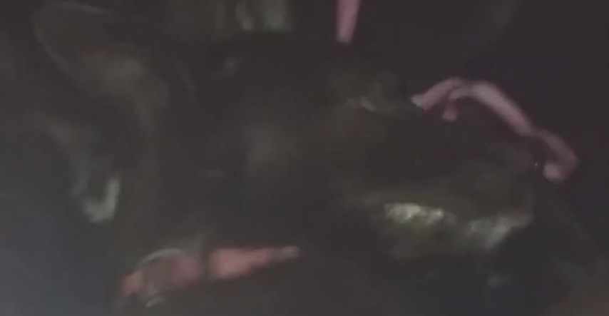 Uznemirujuća snimka: Netko baca otrov po Marjanu, ovako izgleda otrovani pas