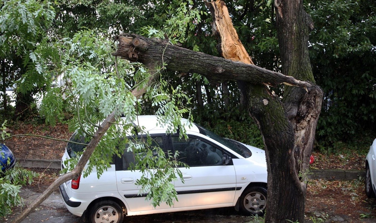 Jaka bura u Splitu: letjeli kontejneri, stabla padala na automobile