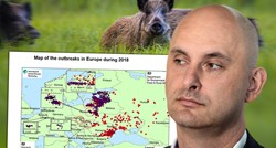 Zašto je Tolušić divljim svinjama objavio rat koji je zgrozio čak i lovce?