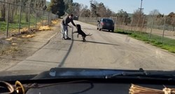 Ostavio psa nasred ceste i otišao, a jadna životinja pokušavala ući auto