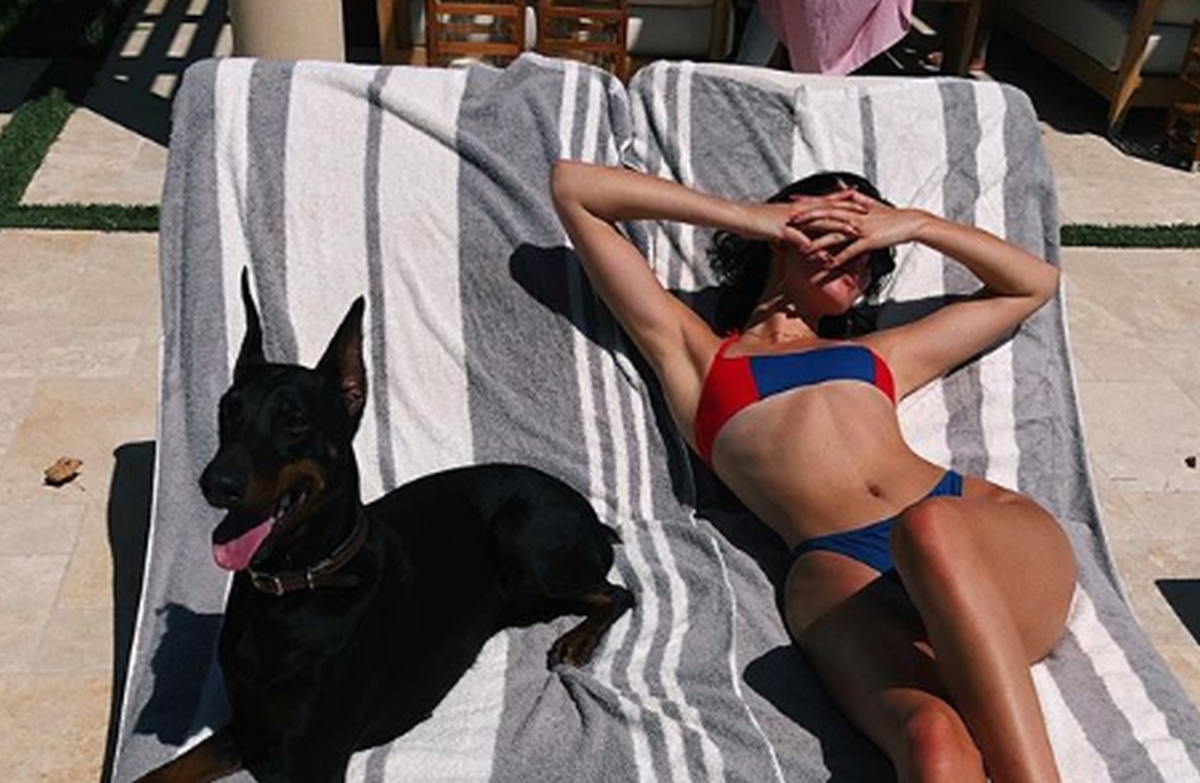 Nakon što je njen doberman u restoranu napao curicu, Kendall Jenner pobjegla