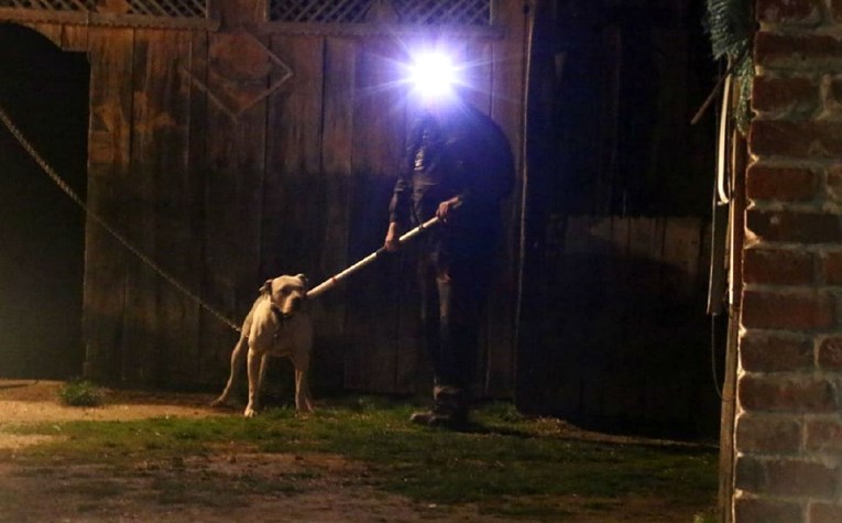 U Podravini argentinski pas za lice ugrizao 15-godišnjaka, lakše je ozlijeđen