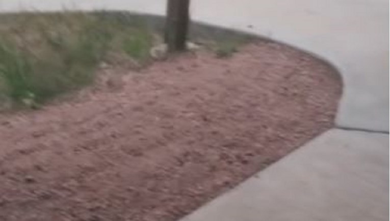 Mislio da mu je pred vrata došao psić, ostao u šoku kad ih je otvorio