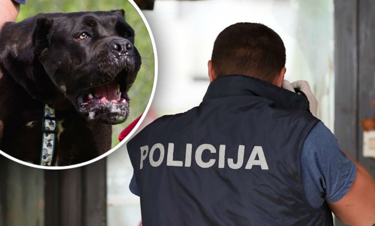 Psa koji je u Zagrebu izgrizao pet ljudi šetala je pijana žena