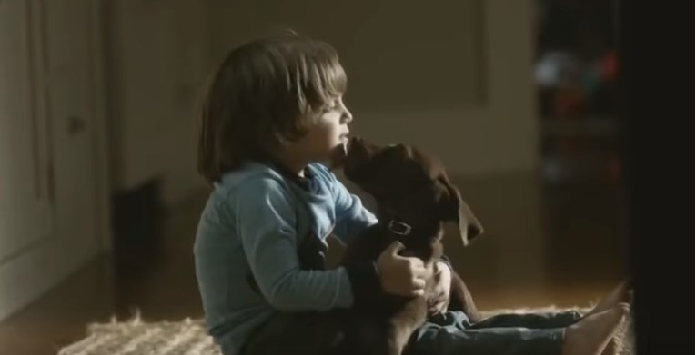 Predivna priča o dječaku i psu koji su zajedno rasli u dobru i u zlu