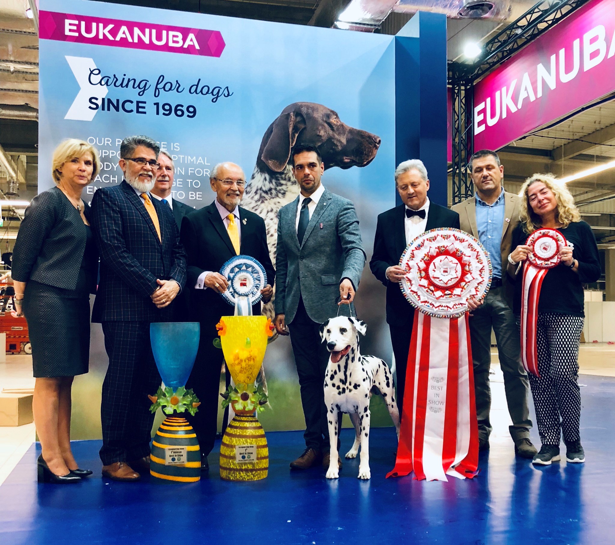 Hrvatski pas DuDu proglašen je najljepšim psom Europe