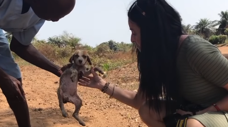 Spasila je umirućeg psa i pružila mu prekrasan život u rezervatu za čimpanze