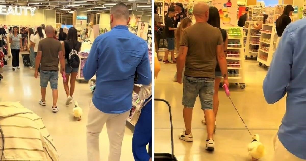 6.6 milijuna pregleda: Video muškarca s patkom u trgovini zbunio ljude