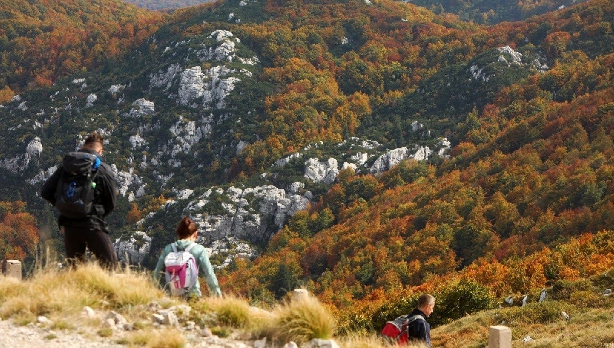Planinarka kod Samobora pala niz padinu i poginula