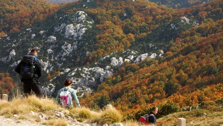 Planinarka kod Samobora pala niz padinu i poginula