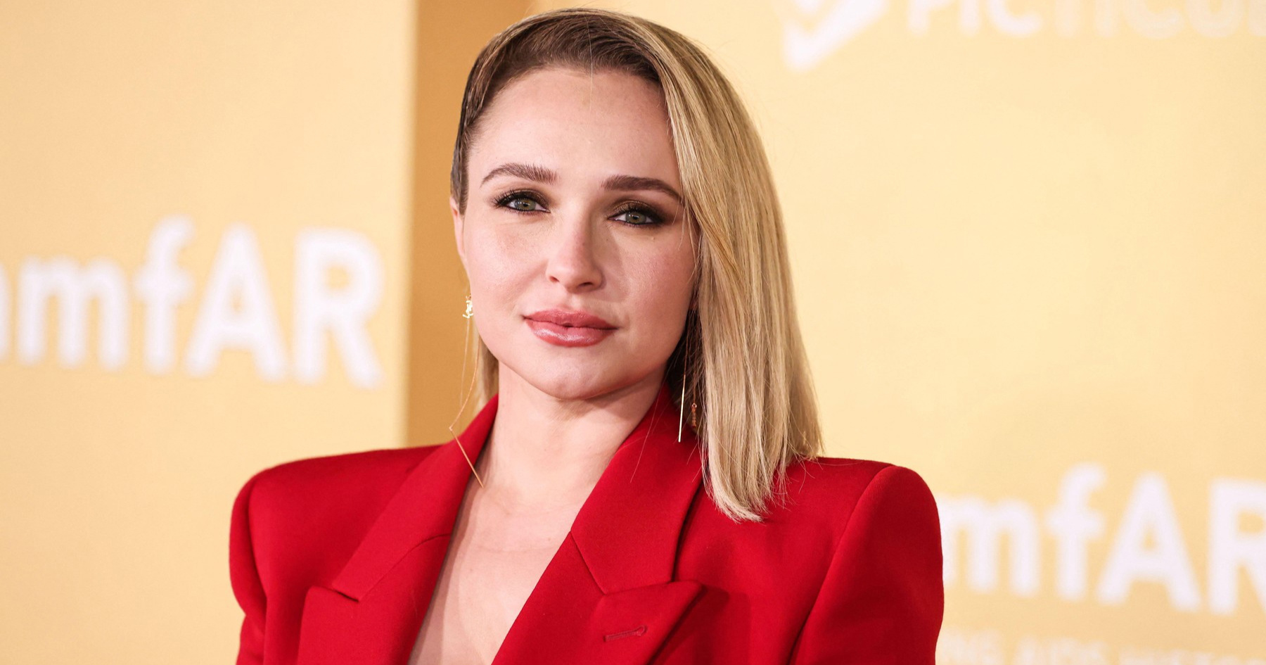 Tim Hayden Panettiere reagirao na tvrdnje o uzroku njezine smrti