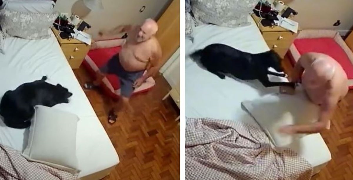Kamera snimila preslatku interakciju vlasnika i psa prije odlaska na spavanje