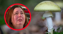 U Australiji skuhala gljive, troje mrtvih, sudi joj se. "Pokušala je to i ranije"