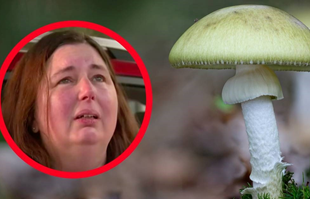 U Australiji skuhala gljive, troje mrtvih, sudi joj se. "Pokušala je to i ranije"