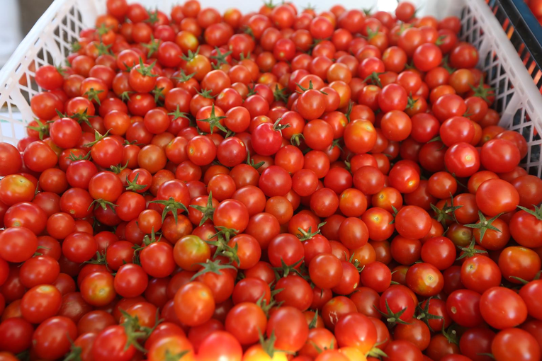 Kila cherry rajčica košta i do 10 eura. "Nećete ih vidjeti na akcijama u trgovinama"