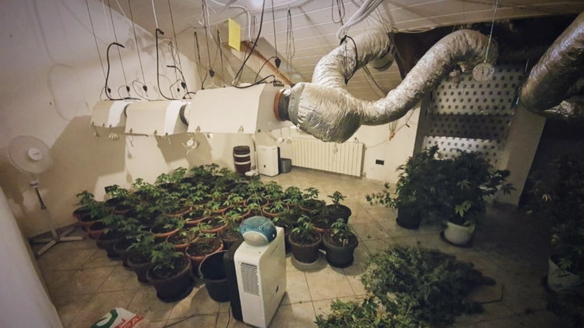 Kod Opatije otkriven laboratorij i zaplijenjeno 16 kilograma marihuane