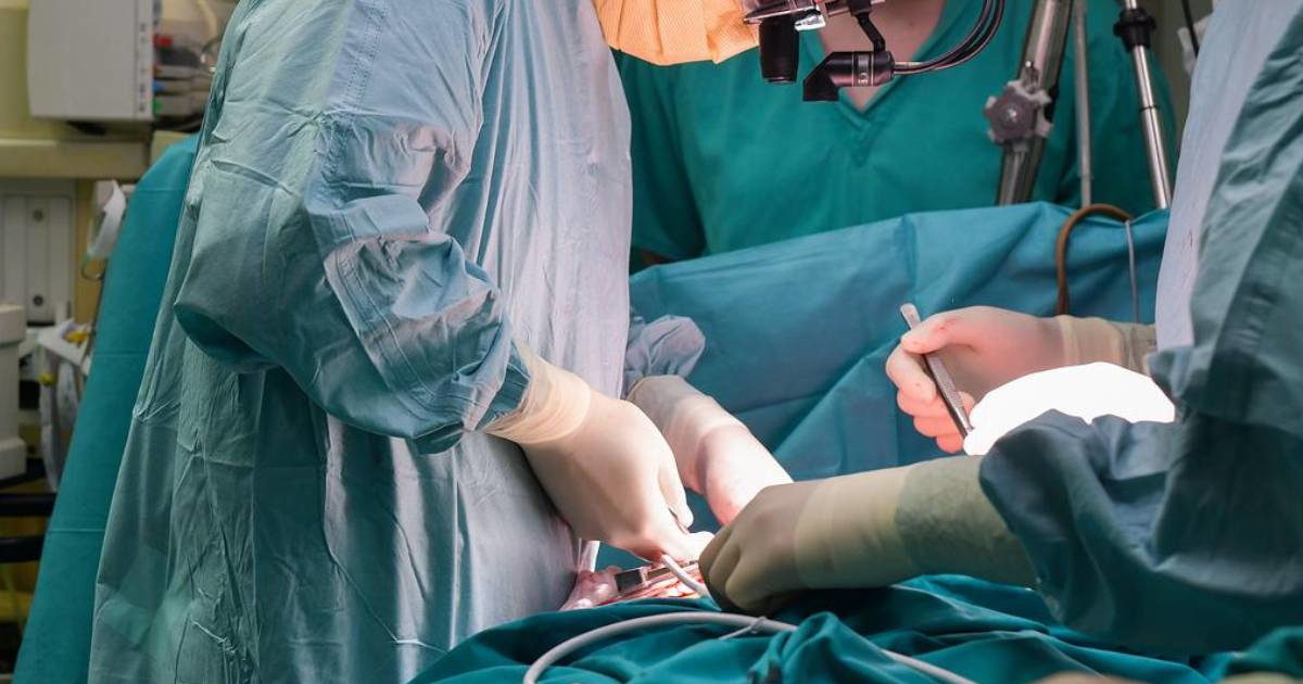 Šef kirurgije na Rebru: Hrvatska je među najboljima u svijetu po transplantacijama