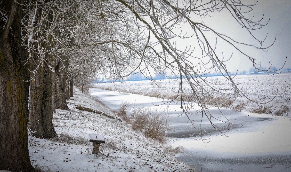 Fotografije iz Kopačkog rita pod snijegom odmor su za oči