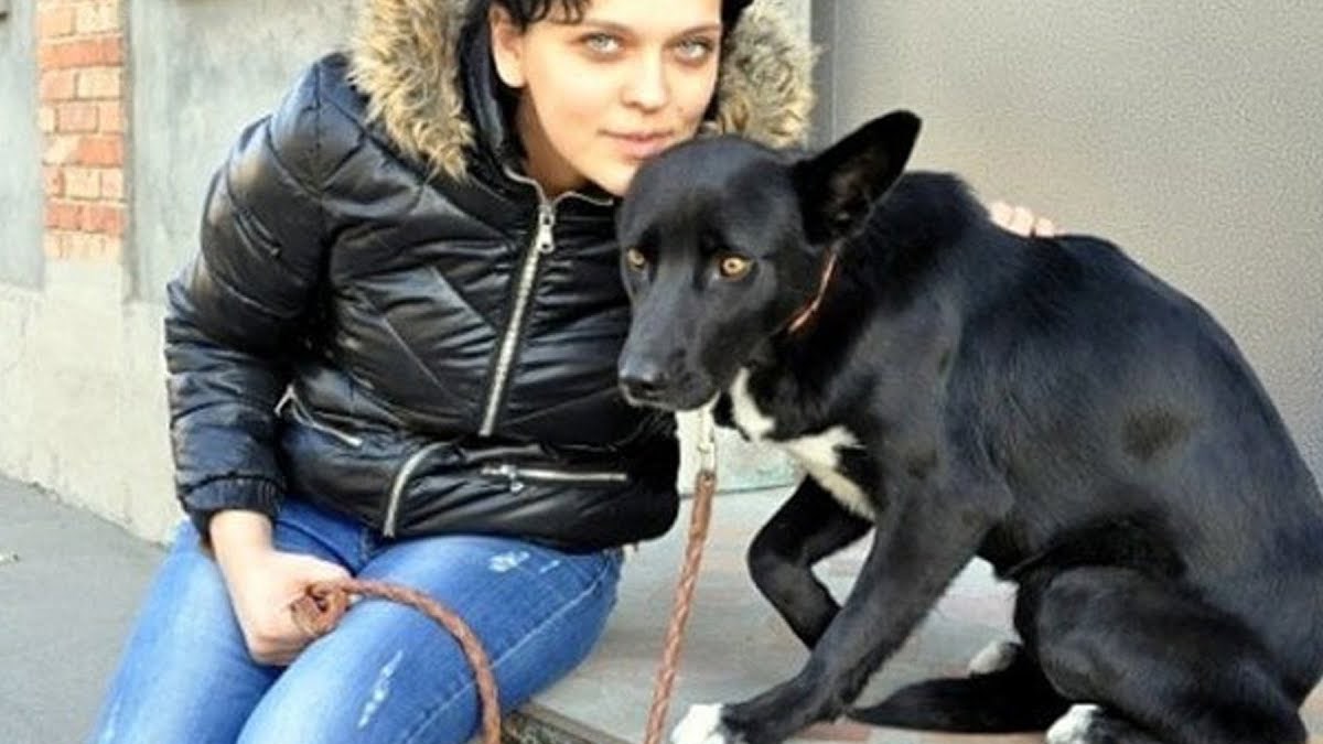 Kujica prešla više od 300 kilometara kako bi se vratila ženi koja ju je spasila