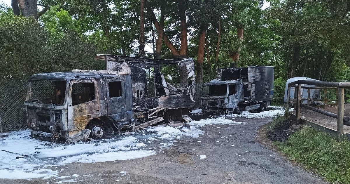 FOTO Napad na policijsku konjicu u Münchenu, sumnja se na ekstremne ljevičare