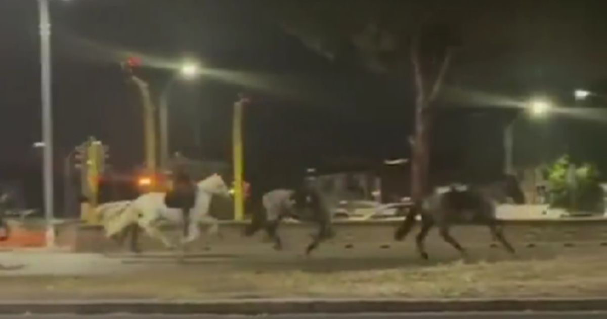 Policajac u Rimu aktivirao pirotehniku. Uplašeni konji se razbježali, ozlijeđeni jahači
