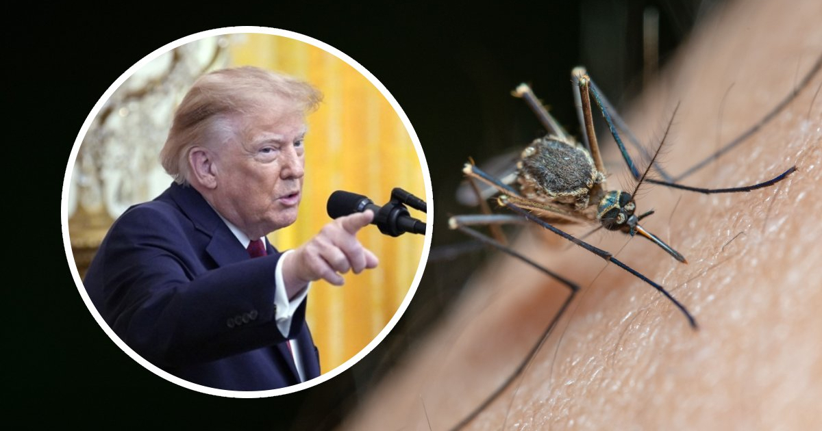 Trump krenuo na komarce i krpelje. U igri su i genetske metode