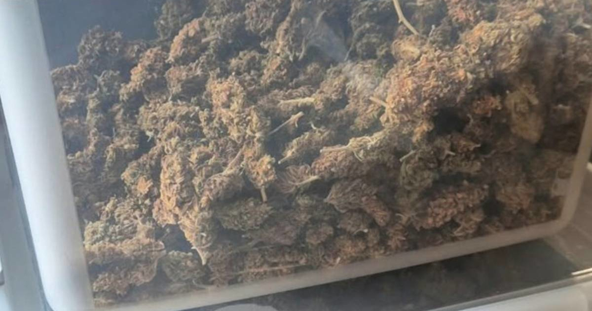 U kući u Konavlima policija pronašla laboratorij za uzgoj marihuane
