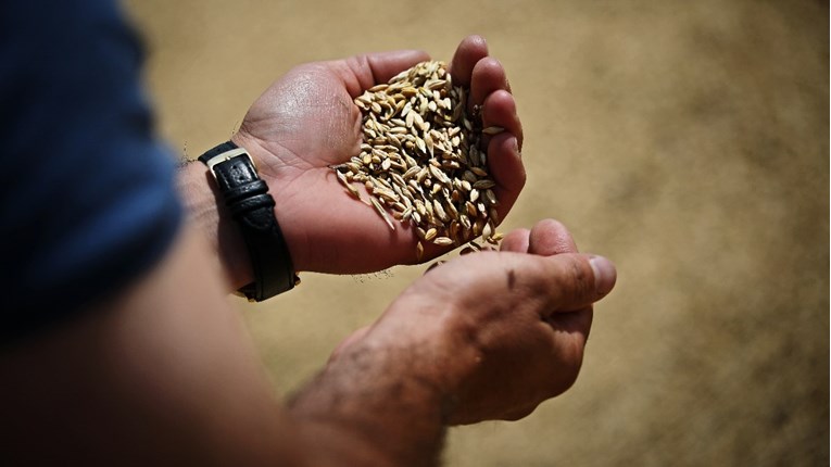 Slovačka i Ukrajina dogovorile sustav dozvola u trgovini žita